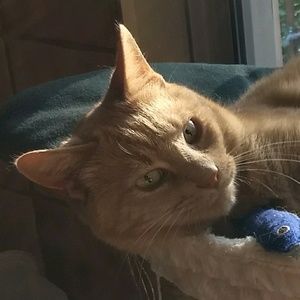 Meet your Posher, Darlene